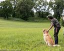20220604-shl-0406