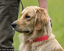 20220604-shl-0461