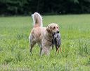 20220604-shl-0470