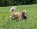 20220604-shl-0474