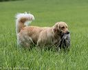 20220604-shl-0476