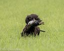 20220604-shl-0507