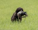 20220604-shl-0511