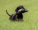 20220604-shl-0520