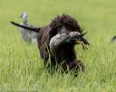 20220604-shl-0553