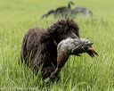 20220604-shl-0562