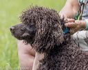 20220604-shl-0581
