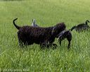 20220604-shl-0617