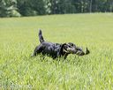 20220604-shl-0678