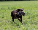 20220604-shl-0830