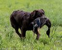 20220604-shl-0838