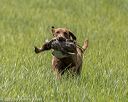 20220604-shl-0848