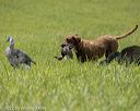 20220604-shl-0880