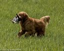 20220604-shl-0952