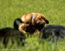 20220604-shl-0958
