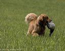 20220604-shl-0967