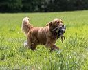 20220604-shl-0999