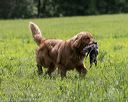20220604-shl-1002