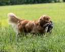 20220604-shl-1005