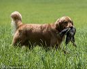 20220604-shl-1011