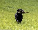 20220604-shl-1019
