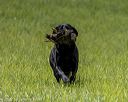 20220604-shl-1028
