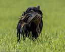 20220604-shl-1053