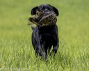 20220604-shl-1056