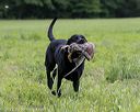 20220604-shl-1077