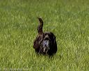 20220604-shl-1083