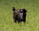 20220604-shl-1090