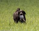 20220604-shl-1097