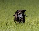 20220604-shl-1101