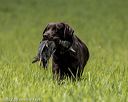 20220604-shl-1110