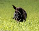 20220604-shl-1116