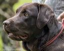 20220604-shl-1128