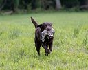 20220604-shl-1135