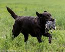 20220604-shl-1147
