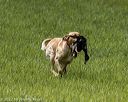 20220604-shl-1164