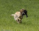 20220604-shl-1165