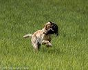 20220604-shl-1166