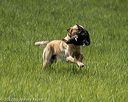20220604-shl-1167