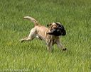 20220604-shl-1169
