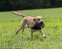 20220604-shl-1197