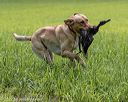 20220604-shl-1202