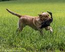 20220604-shl-1204