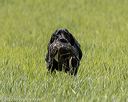 20220604-shl-1212