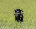 20220604-shl-1214