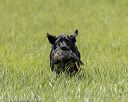 20220604-shl-1216