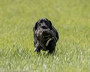 20220604-shl-1219